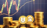 中加基金管理有限公司(中加基金管理有限公司基金经理年薪多少)
