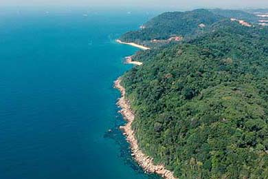 湖人重创！东契奇左腿筋二级拉伤 本赛季常规赛报销