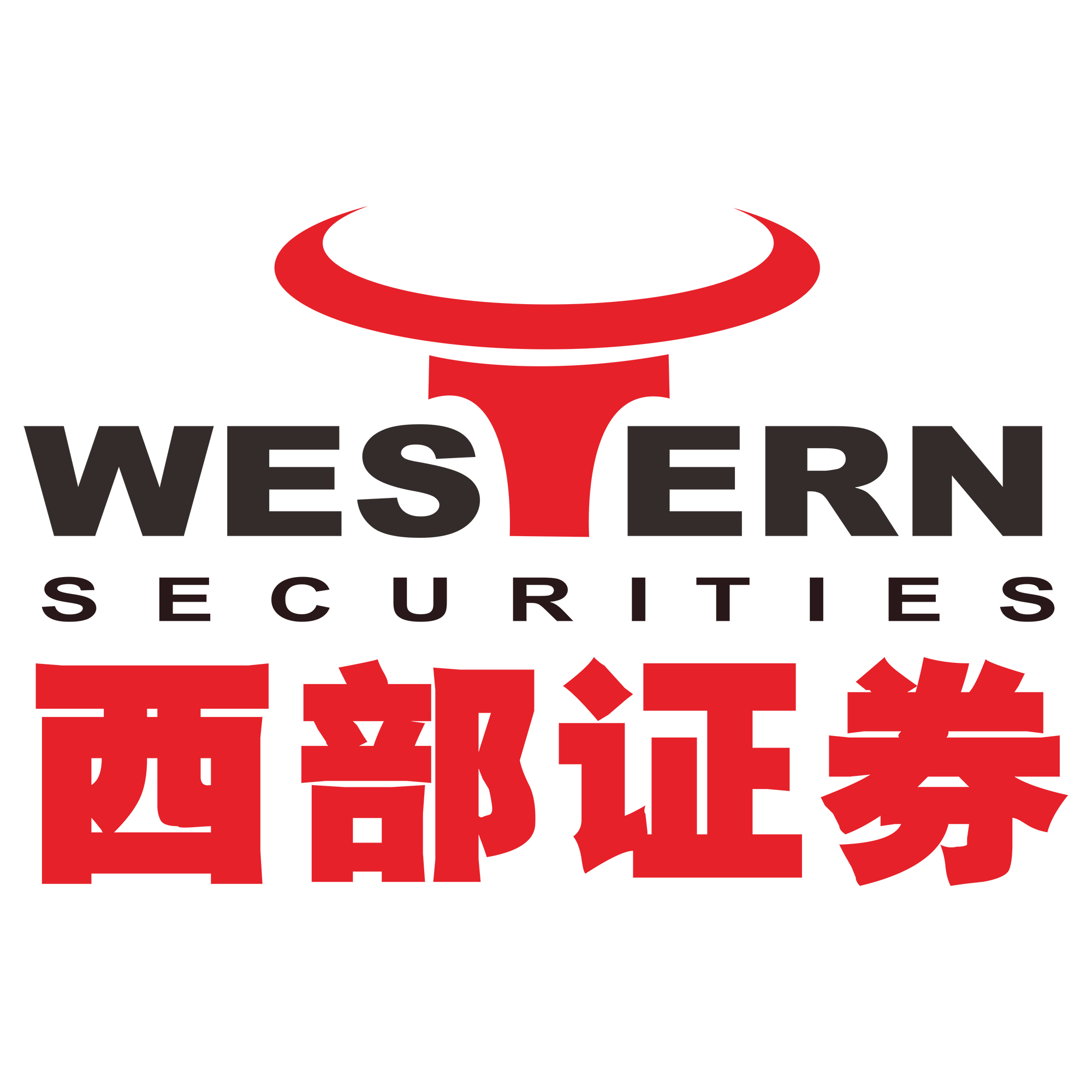 西南证券大智慧(西南证券慧投顾有用吗)