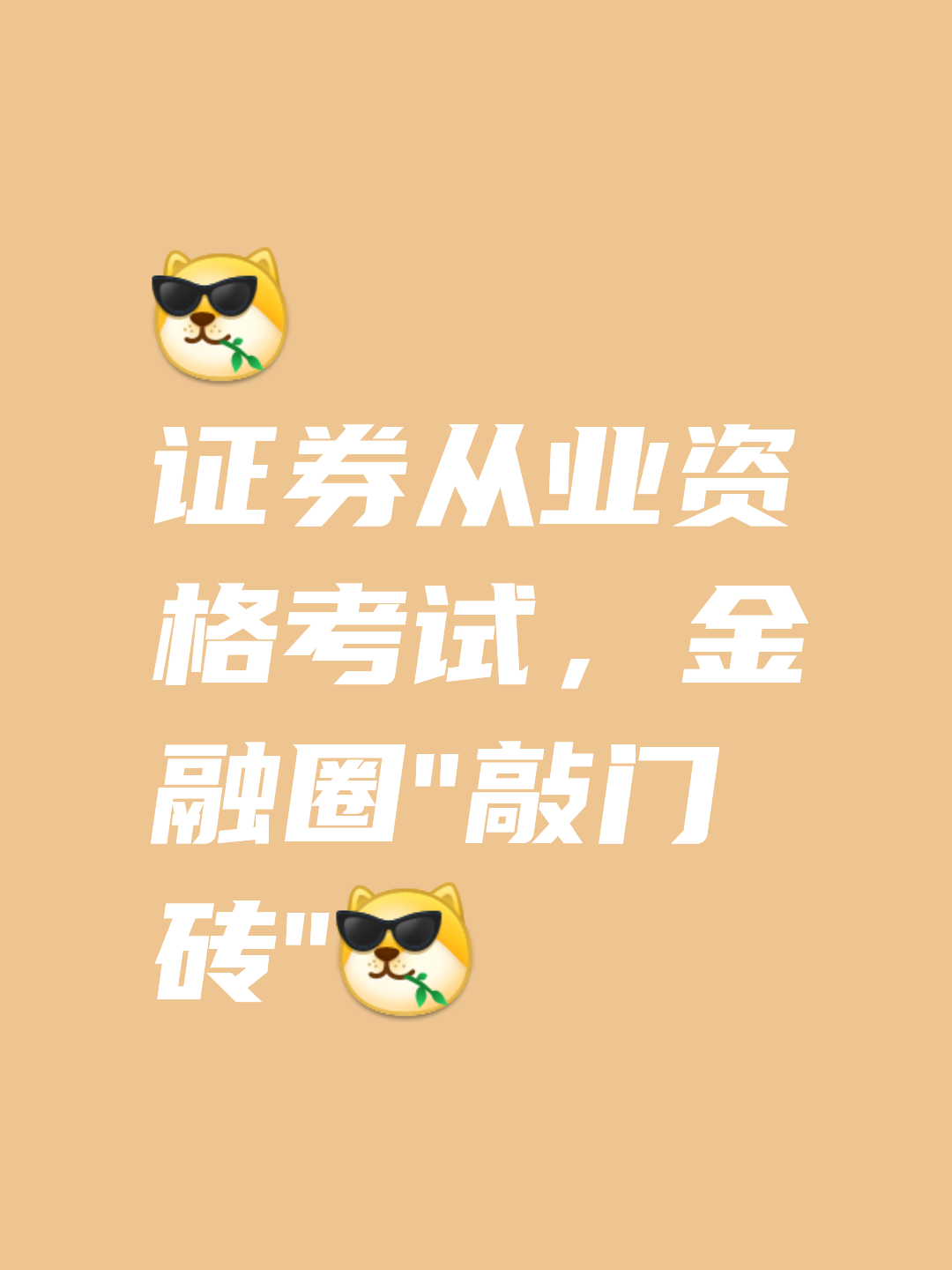证券从业资格考试查询(证券从业资格考试 查询)