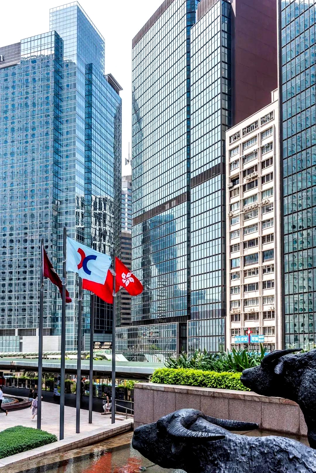 长江证券香港(长江证券香港公司电话)