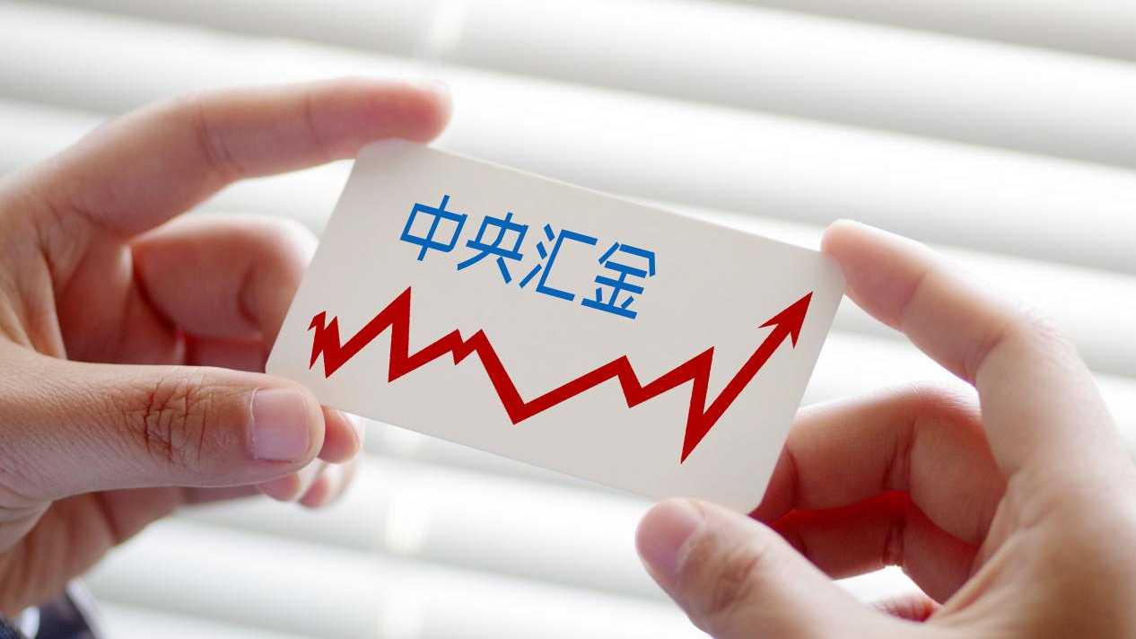 西南证券大智慧(西南证券大智慧专业版)